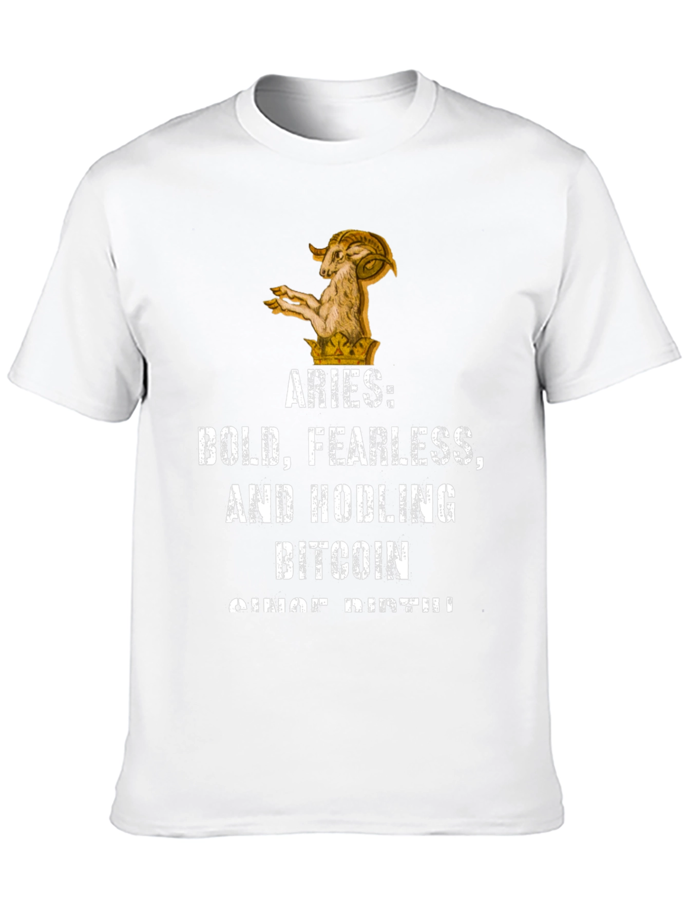 Aries Bitcoin Hodler Black Graphic T-Shirt