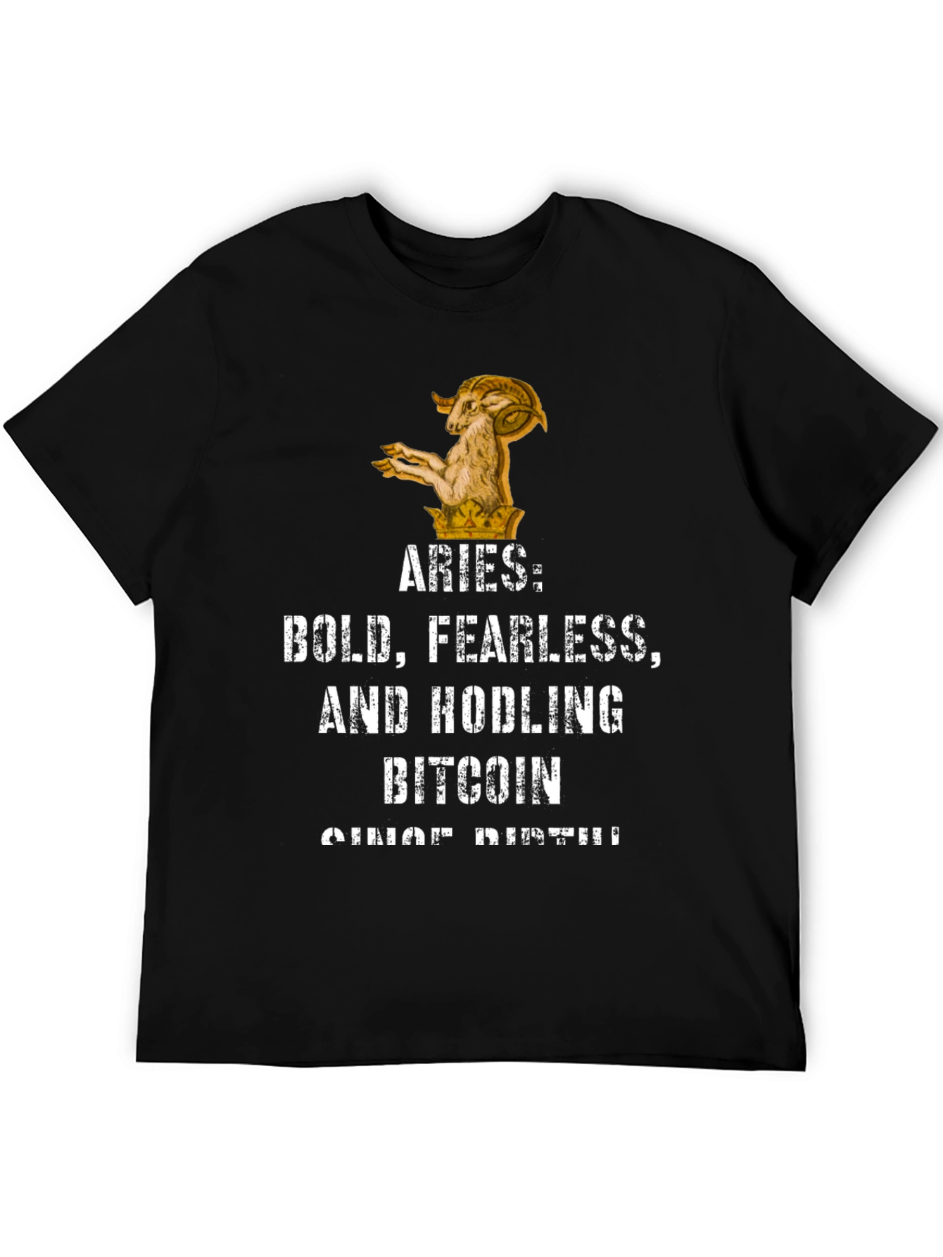 Aries Bitcoin Hodler Black Graphic T-Shirt