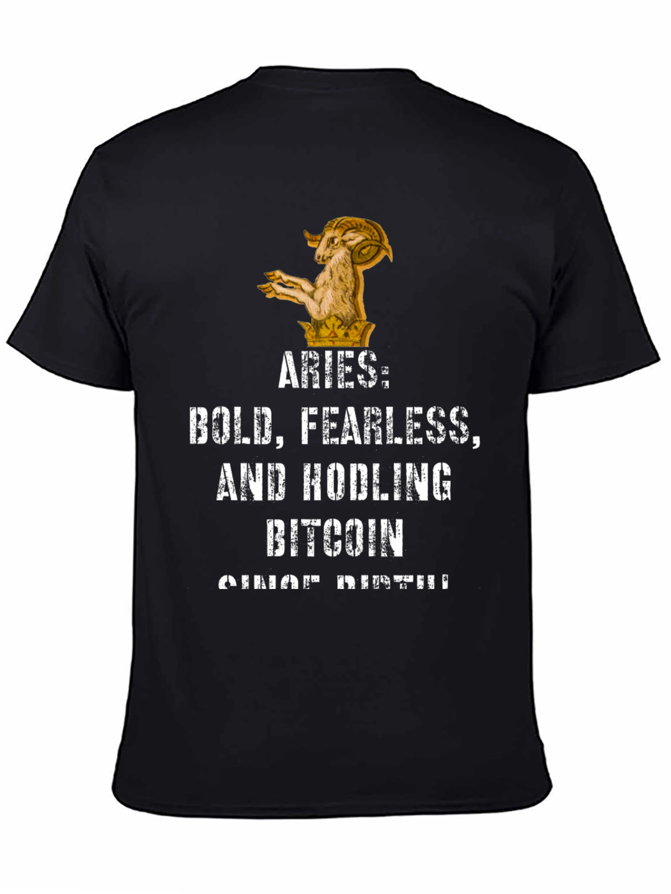 Aries Bitcoin Hodler Black Graphic T-Shirt