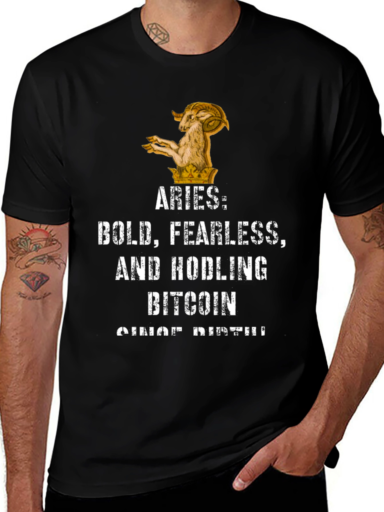 Aries Bitcoin Hodler Black Graphic T-Shirt