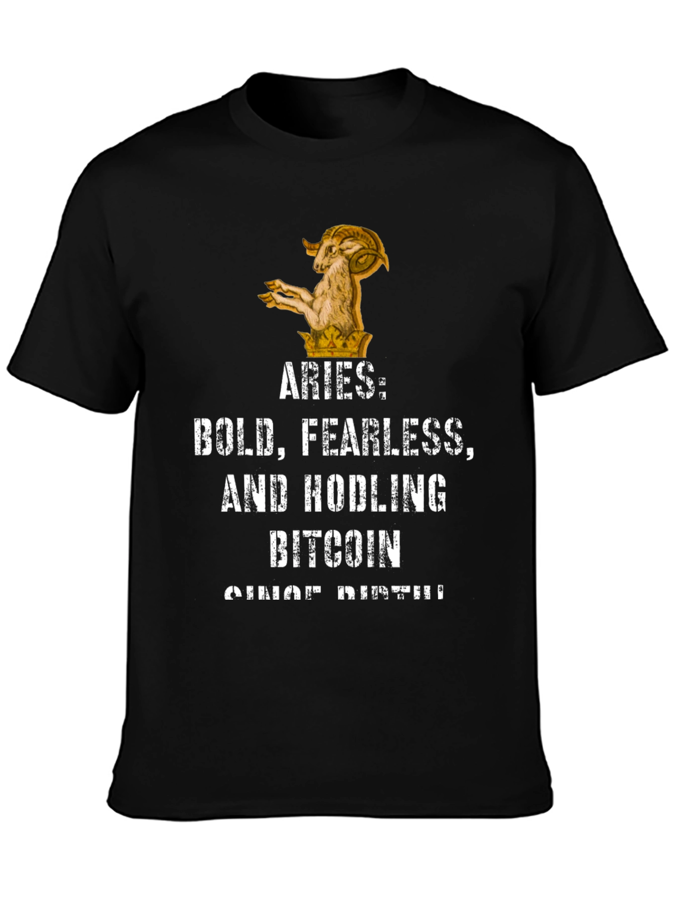 Aries Bitcoin Hodler Black Graphic T-Shirt